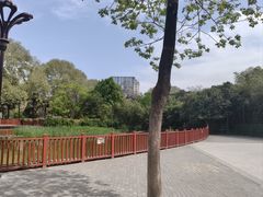 -洛阳市牡丹公园