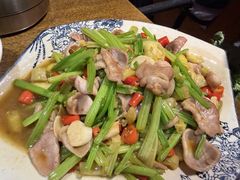 双椒鱼肚-阿婉贵州苗家酸汤鱼(梅林店)