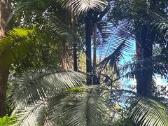 -武吉知马自然保护区