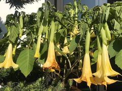 -听风阁农家私房菜茶楼(龙坞店)