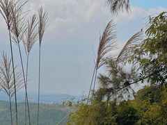-海南铜鼓岭景区