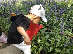 -济南植物园