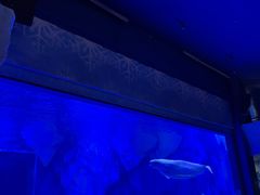 -上海海昌海洋公园-冰山北极馆