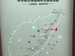 -羚羊峡古栈道森林公园