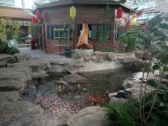 -森谷美食公园(杨行店)