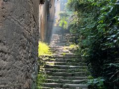 -杨家堂村