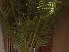 -泰合玺·精油疗愈SPA(狮山天街生活广场店)