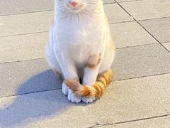 -黑皮酸菜鱼(三山街店)