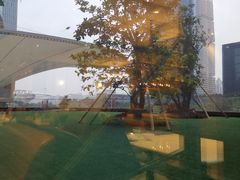 -港丽餐厅(高德置地店)