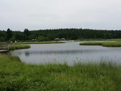 -塞罕坝国家级自然保护区