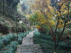 -梦姑塘文化公园