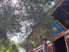 -洛阳白马寺