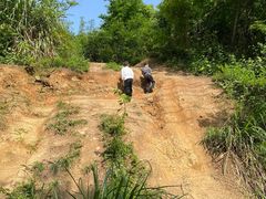 -青龙山国家森林公园