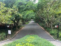 -三水森林公园