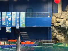 -威海华夏城景区