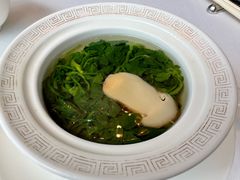 -上海总会SHANGHAICLUB(兴业太古汇店)