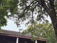 -安仁古镇