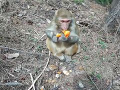 -山西通天峡景区