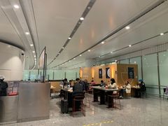 -麦当劳(北京大兴机场二层国内到达(安检外)店)