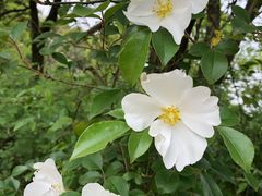 -敬亭山风景名胜区