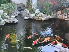 -鲤院·新中式美学·庭院餐厅(夫子庙店)