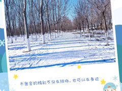 -西青郊野公园