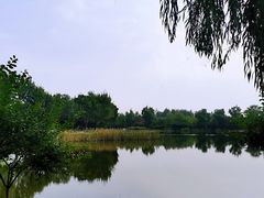 -永定河休闲森林公园