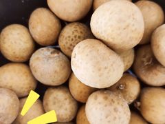 -PAGODA百果园(台柳路凯德广场店)