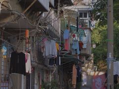-溪岸路花鸟市场