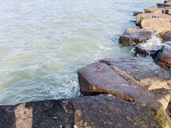 -东钱湖旅游度假区