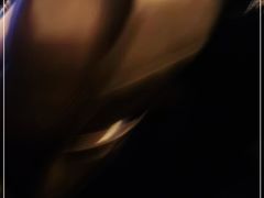 -长沙小天鹅戴斯酒店