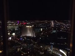 -拉斯维加斯永利酒店