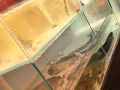 -牛村来人潮汕牛肉火锅(西单店)