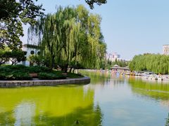 -团结湖公园