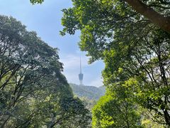 -梧桐山风景名胜区