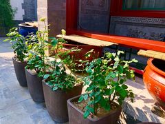 -北京古城老院厉晓麟精致菜