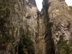 -雁荡山风景名胜区-小龙湫