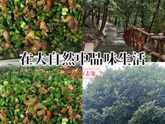 -金水泊山庄·花椒鸡(铁山坪店)