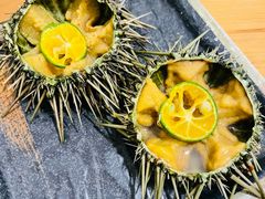 -海胆小馆(东北水饺·春柳店)