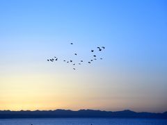 -青海湖国家重点风景名胜区