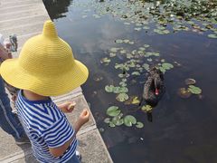 -白马涧龙池景区