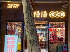 -阳阳老火锅(小南门店)