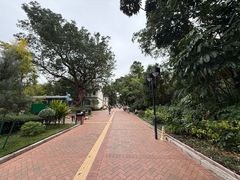 -九龙公园