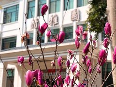 -广东外语外贸大学(白云山校区)