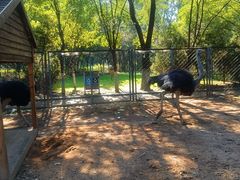 -长白岛森林公园