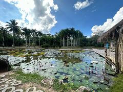 -中国科学院西双版纳热带植物园