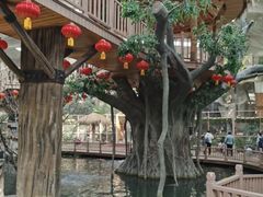 -南宫五洲植物乐园