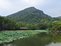 -八卦田遗址公园