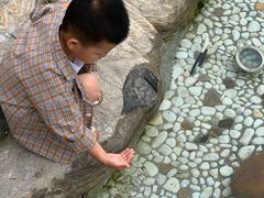 -青岛鑫江温德姆酒店
