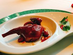 乳鸽-三号黄浦会Canton Table